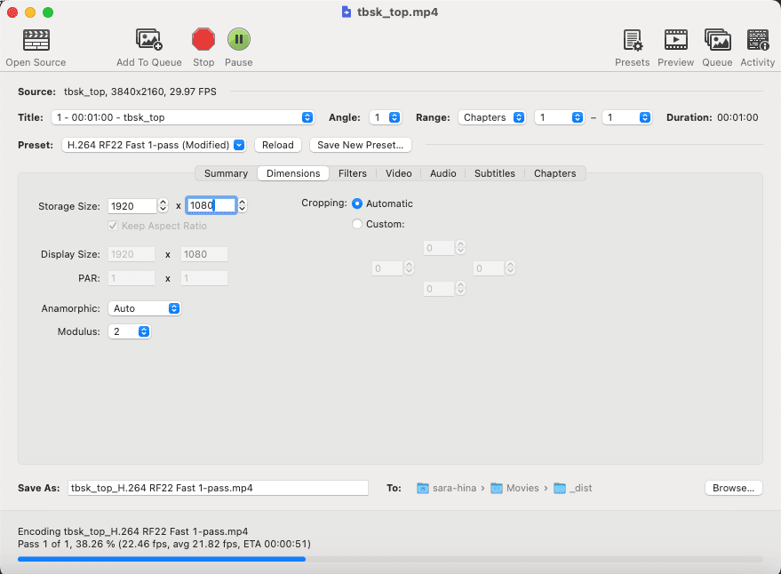Summary タブ：Web Optimized と Align A/V Start にチェックが入っている
